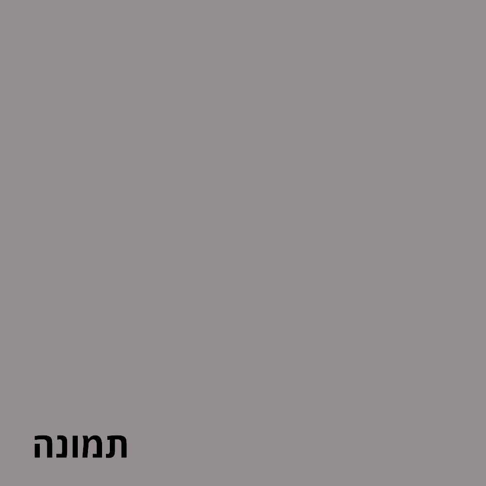 תמונה3