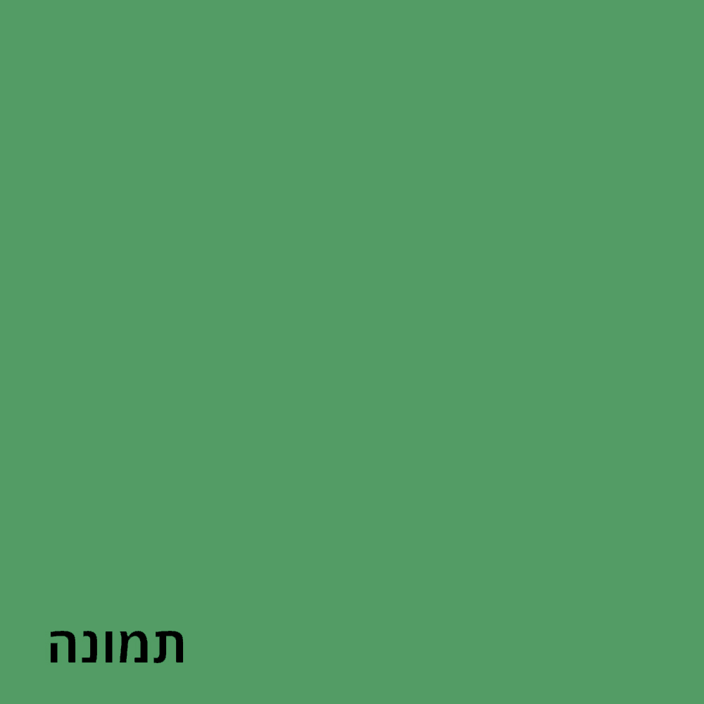 תמונה1